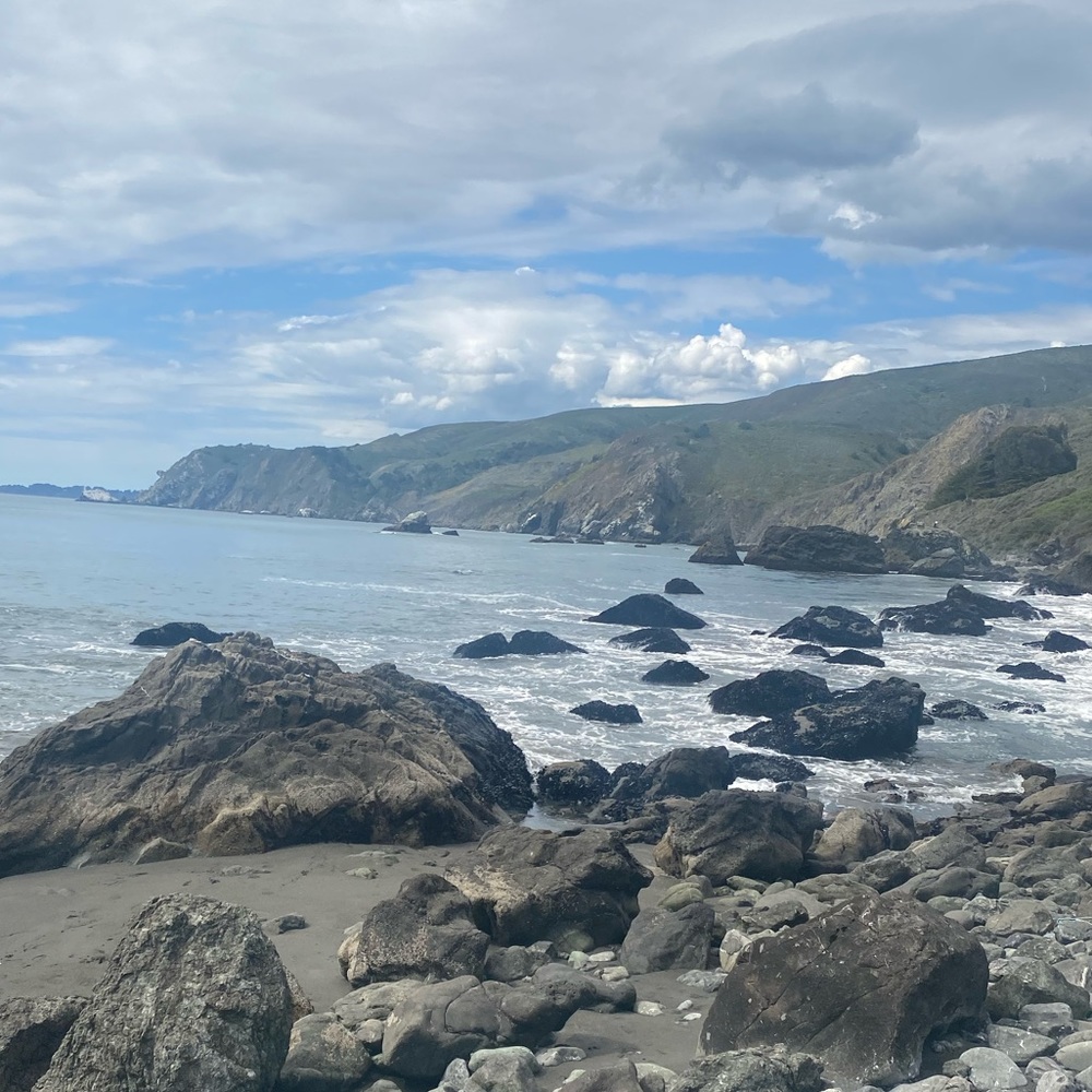 Meet your Posher, Gina